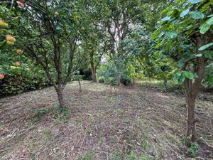 Site Photo- click for photo gallery